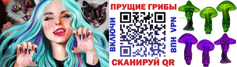 Купить  Бологое  Галлюциногенные грибы ЛСД 